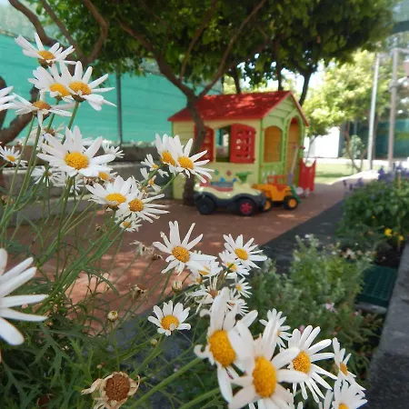 Willa Green Yard
